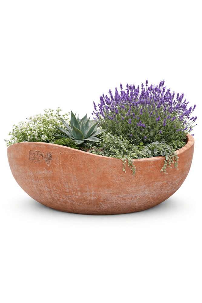 Coupe moderne en terre cuite d’Impruneta de forme ovale – design contemporain et tradition méditerranéenne